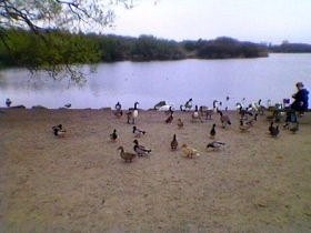 Pennington Flash near Leigh, Lancashire